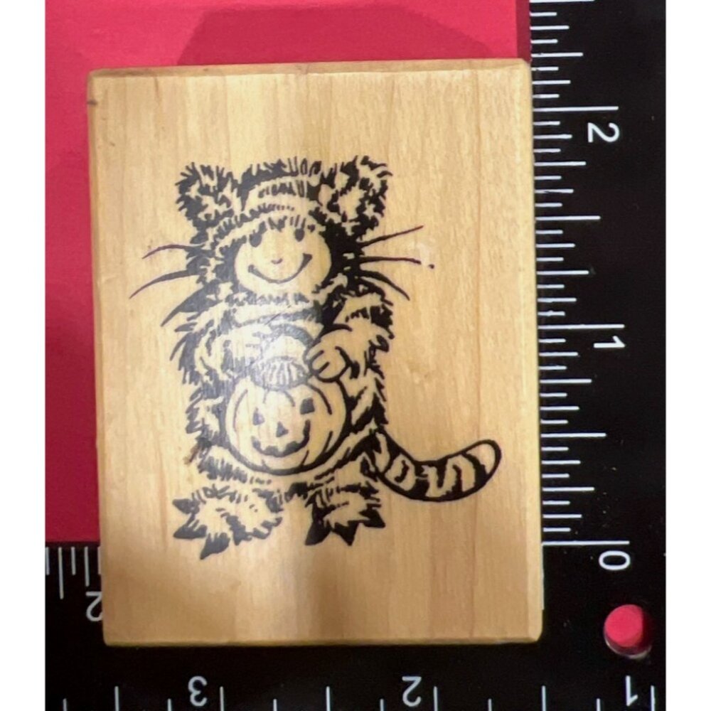 Halloween Tiger Costume Wood Mounted Rubber Stamp By PSX D-3310